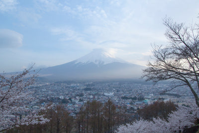 Behind the Scenes, Mt. Fuji